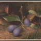 Illustration for article titled Grapes